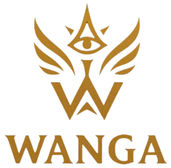 wanga-sports.genix-care.com